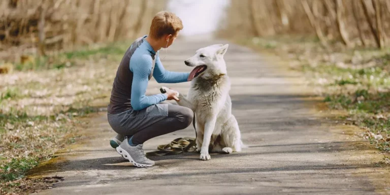 What Are the Best Pet-Friendly Travel Destinations?