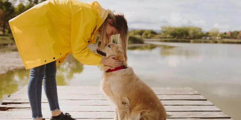 How I Successfully Traveled With My Dog for the First Time